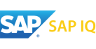 SAP Iq